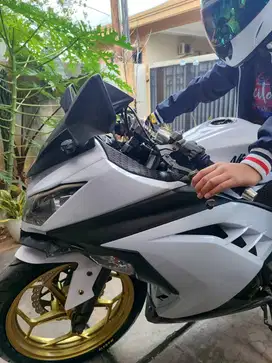 Kawasaki Ninja 250 Fi