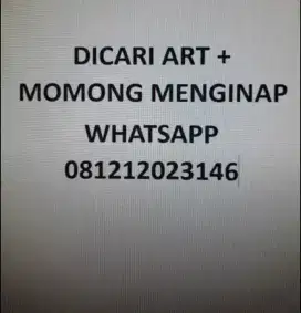 DIBUTUHKAN ART MENGINAP