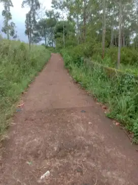 KEBUN CITY VIEW UJUNG BERUNG ATAS