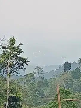 Tanah view gunung dan lembah dekat Villa Alpha Gesing Munduk