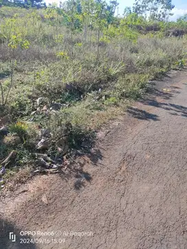 TANAH MURAH KALIKIDANG SOKARAJA