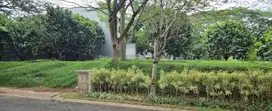 Royal Orchard cluster  penghijauan Kelapa Gading