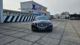 Jaguar XJL 2011 lux