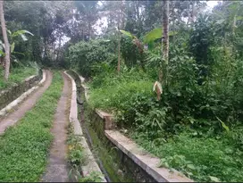 TANAH KEBUN MURAH