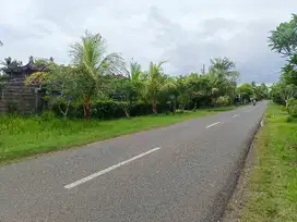 TANAH PINGGIR JALAN UTAMA NEGARA TEGAL BADENG BARAT