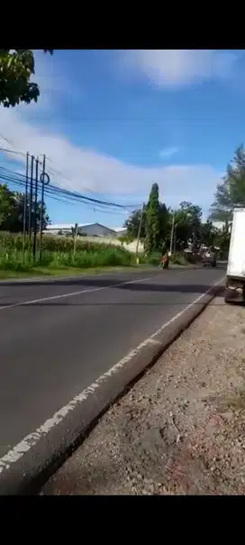 Tanah Raya Daendles Wedung Lamongan