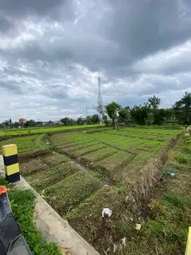 TANAH KAVLING LUAS COCOK BUAT VILLA DI BELAKANG BALAI AMONG TANI BATU