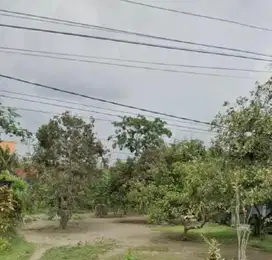 Dijual Cepat Tanah Murah Luas Di Kota Blitar 10jt/ru