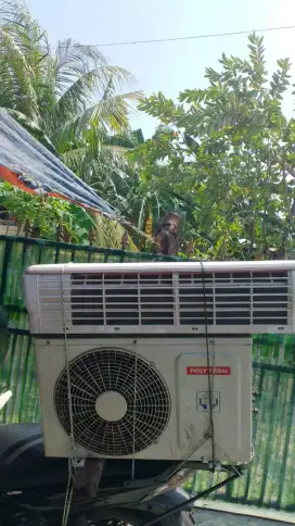 Service AC bongkar pasang AC tambah freon AC perbaikan AC