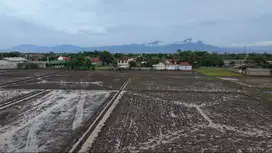 Sawah Belakang Puskesmas Sumbersari Ciparay Kabupaten Bandung