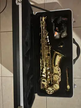 Saxophone Alto Knight