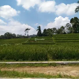 Dijual Tanah Kavling Mojokerto Siap Pakai