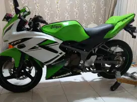 Kawasaki Ninja RR New Anniversary 2015