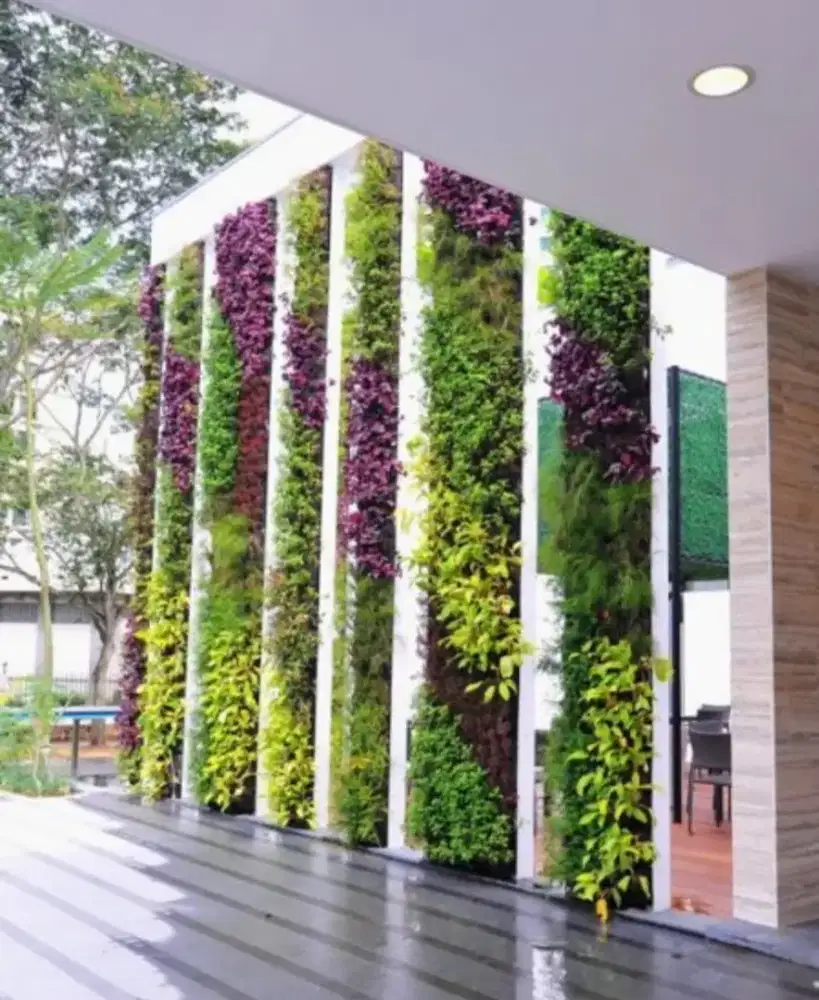 Taman vertikal dinding