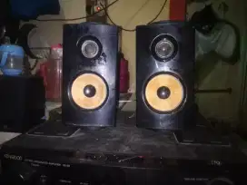 Sepasang speaker satelit LG