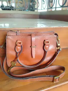 Tas Fossil original