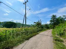 Tanah super murah di Selong belanak Lombok