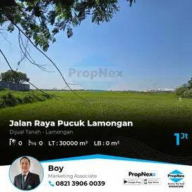 Jalan Raya Pucuk Lamongan