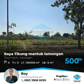 Jual Tanah Raya tikung mantub lamongan