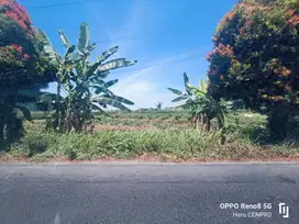 Tanah kosong pinggir jln raya Tambaksogra Sumbang Banyumas