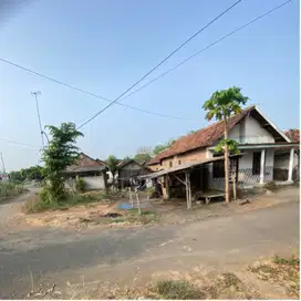 jual tanah pohjentrek bonus rumah