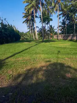 DIJUAL LAHAN KAWASAN UBUD GIANYAR BALI LOKASI MENARIK