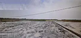 Dijual Lahan Sawah di Sukawangi, Kab. Bekasi