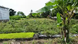 DIJUAL TANAH SAWAH DI SLEMAN SELATAN BLUE LAGOON JOGJA JK13042