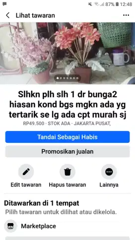 Slhkn plh slh 1 dr hiasan bunga2 meja kantor dll kond bgs murah sj tuh