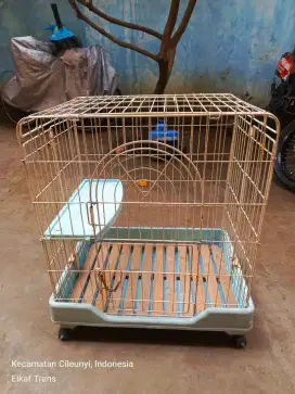 Kandang kucing masih bagus