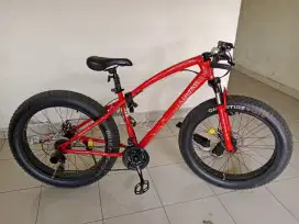 Dijual Sepeda Gunung Fatbike Pembelian September 2023