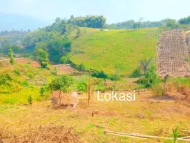 Jual Lahan Kebun Pinggir Jalan Ciwidey Bandung Selatan