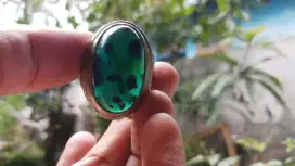 Bacan Coklat Totol