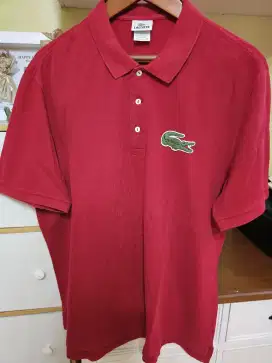 Lacoste Red Big Logo