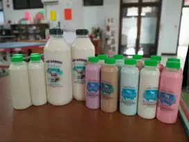 SUSU KAMBING MURNI (Fresh dari kandangnya).