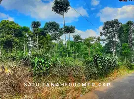 Dijual sebidang tanah kebun datar pinggir jalan mudah diakses