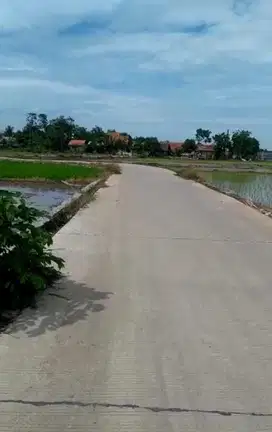 Tanah Sawah 4174 m2 di Telukjambe Timur Karawang