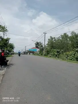 Tanah Dijual Kawasan industri Terpadu Sentolo