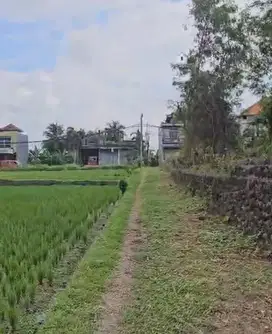 Tanah View sawah Zona Pemukiman Nyitdah Kedungu Tabanan Bali