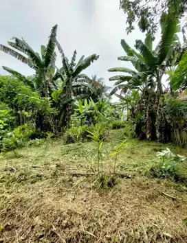JUAL TANAH TANGERANG JAMBE 247m