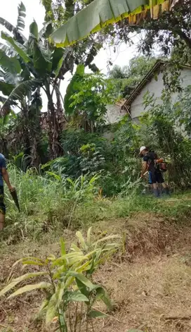 JUAL TANAH MURAH DI TANGERANG
