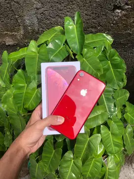 iPhone XR 256gb Red