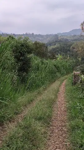 Tanah Kebun Murah Di Bumiaji Kota Batu Dekat Wisata Baloga