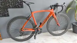 Roadbike Pacific primum 7.0