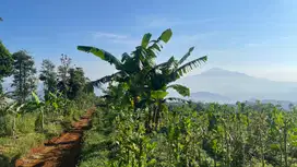 Dijual Murah Tanah 2 ha Diatas Awan Udara Dingin di Sumedang Selatan