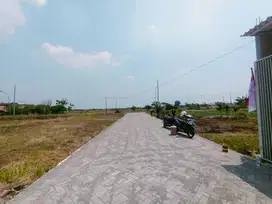 TANAH MURAH 40 METER DARI RAYA DUNGUS CERME GRESIK