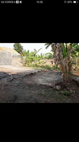 Tanah darat siap bangun di kajen