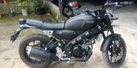 Yamaha xsr 155 2022