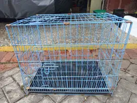 Kandang Kucing tebal