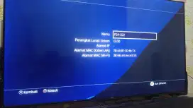 Ps4 pro 2stik ada game